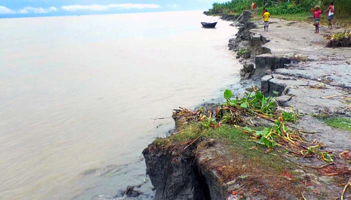  মেঘনার ভাঙ্গনে বিলীন হচ্ছে মাঝের চরের ঘরবাড়ী, ফসলি জমি